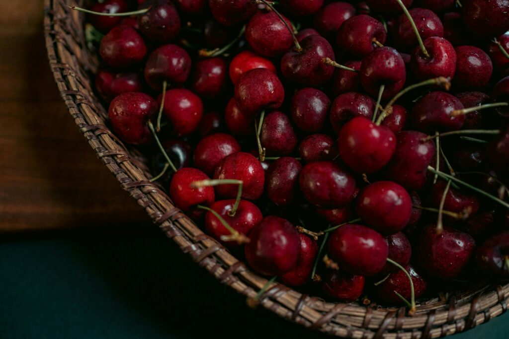 récolte cerises