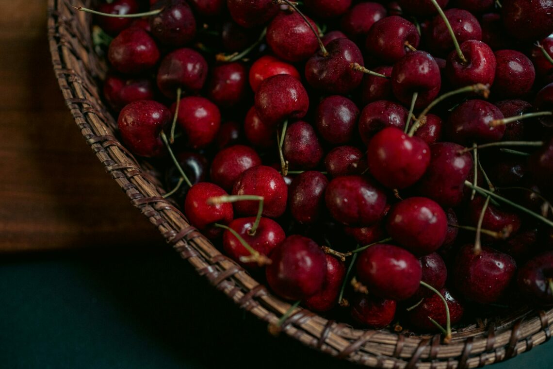 récolte cerises